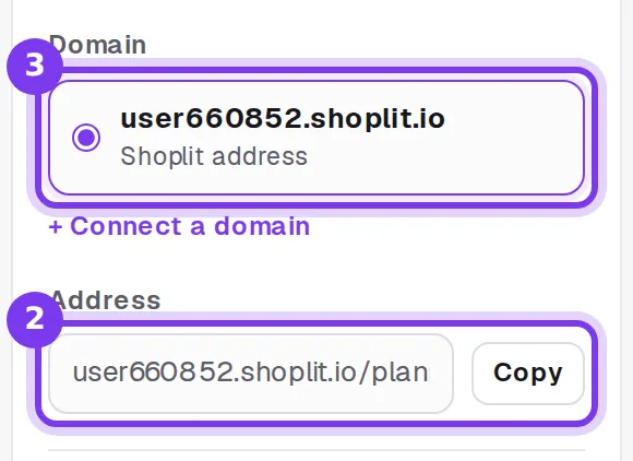 The Domain choice and the Address field with its Copy button, in the Funnel settings column