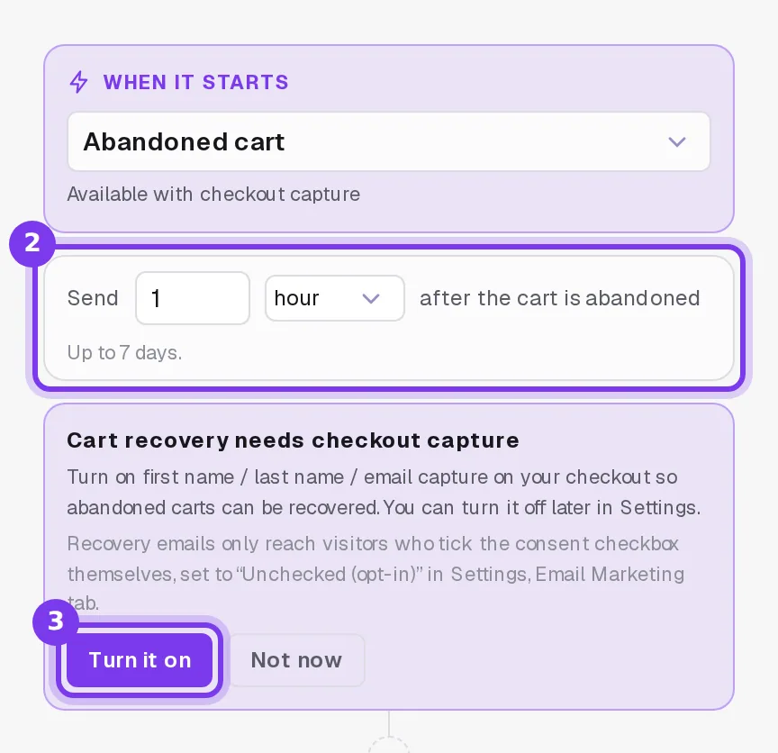 The When it starts card set to Abandoned cart, the Send 1 hour after the cart is abandoned setting with Up to 7 days under it, and the Cart recovery needs checkout capture box with the Turn it on button