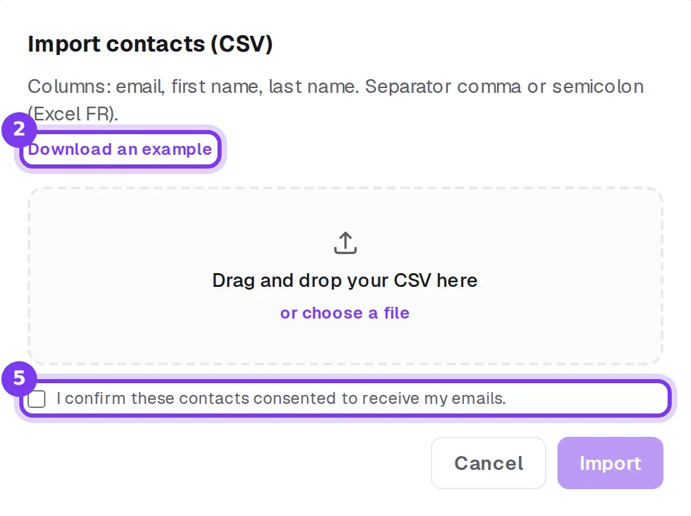 The Import contacts (CSV) window with the Download an example link, the drop zone and the consent checkbox